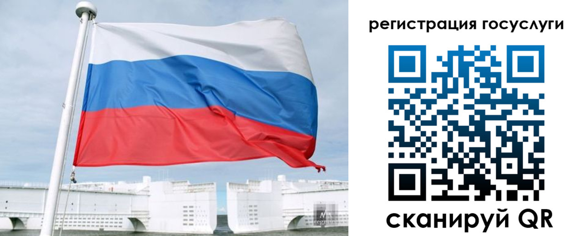 временная регистрация поиск в Курганской области